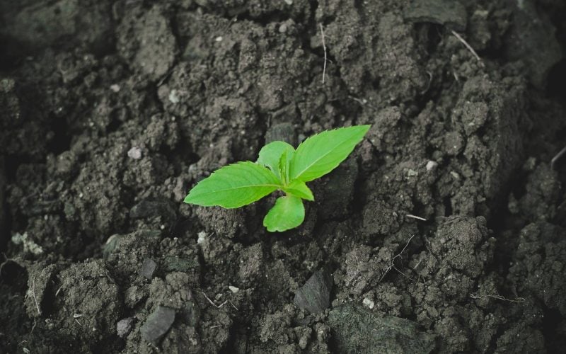 From Offsetting to Reduction-by-Design: The New Corporate Standard
