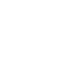 insurance (1)